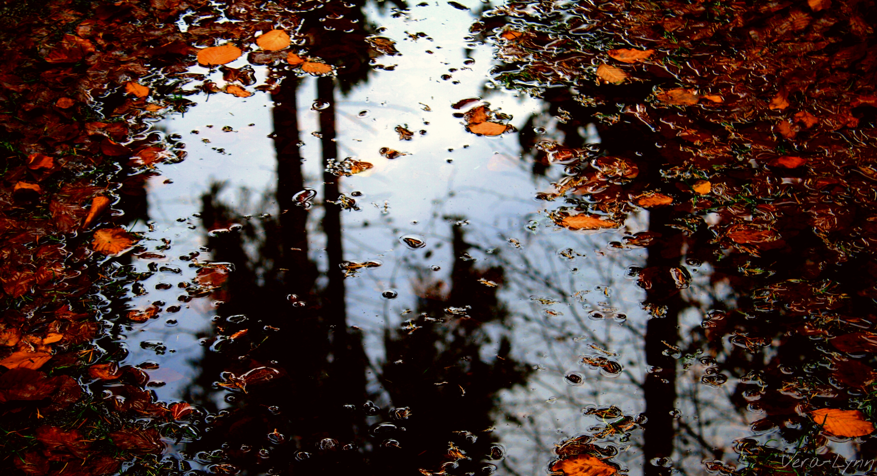 water puddle reflection photography outdoors nature...