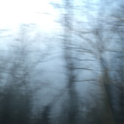 interesting train foggymorning fog trees