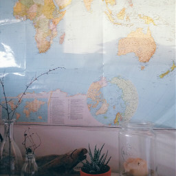 houseplants myroom map worldmap candle