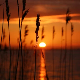 wppnature nofilter sunset balticsea beautiful